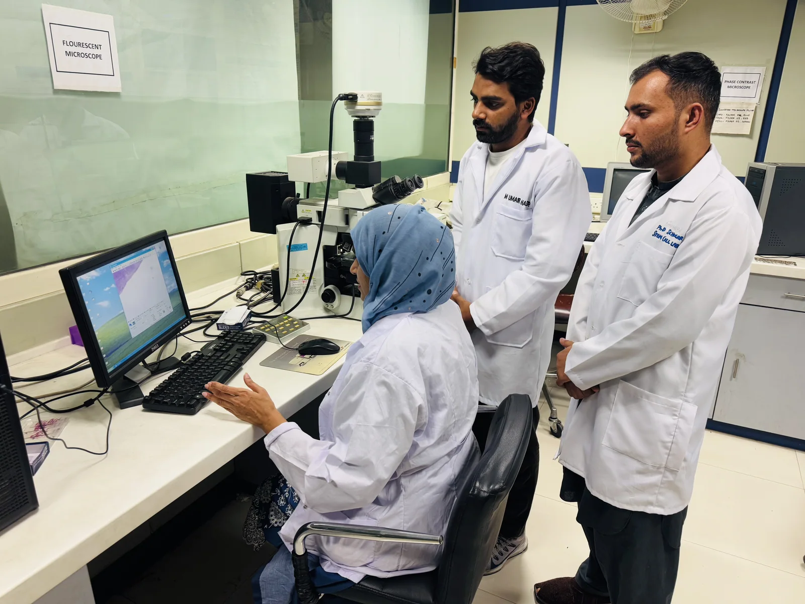 Microscopy and analysis